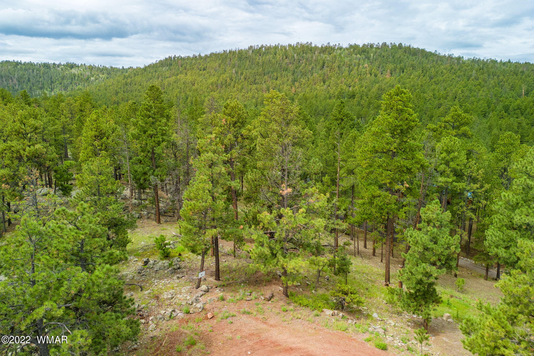 1 1013th Greer, AZ 85927 - Photo 1 of 21 a view of a big yard with lots of bushes