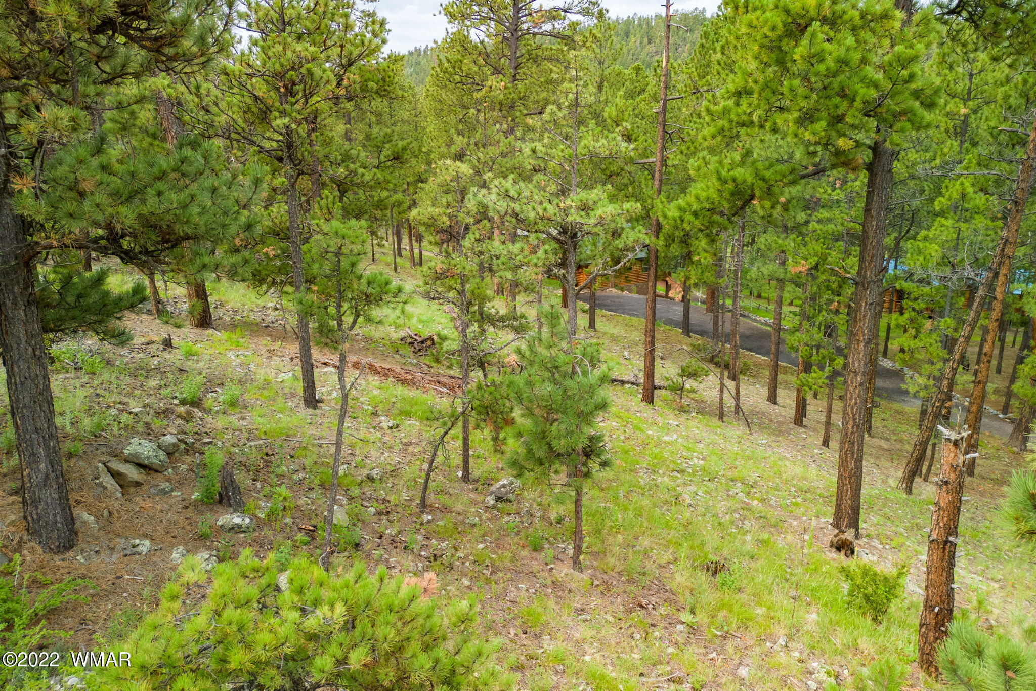 1 1013th Greer, AZ 85927 - Photo 2 of 21 a view of yard with green space