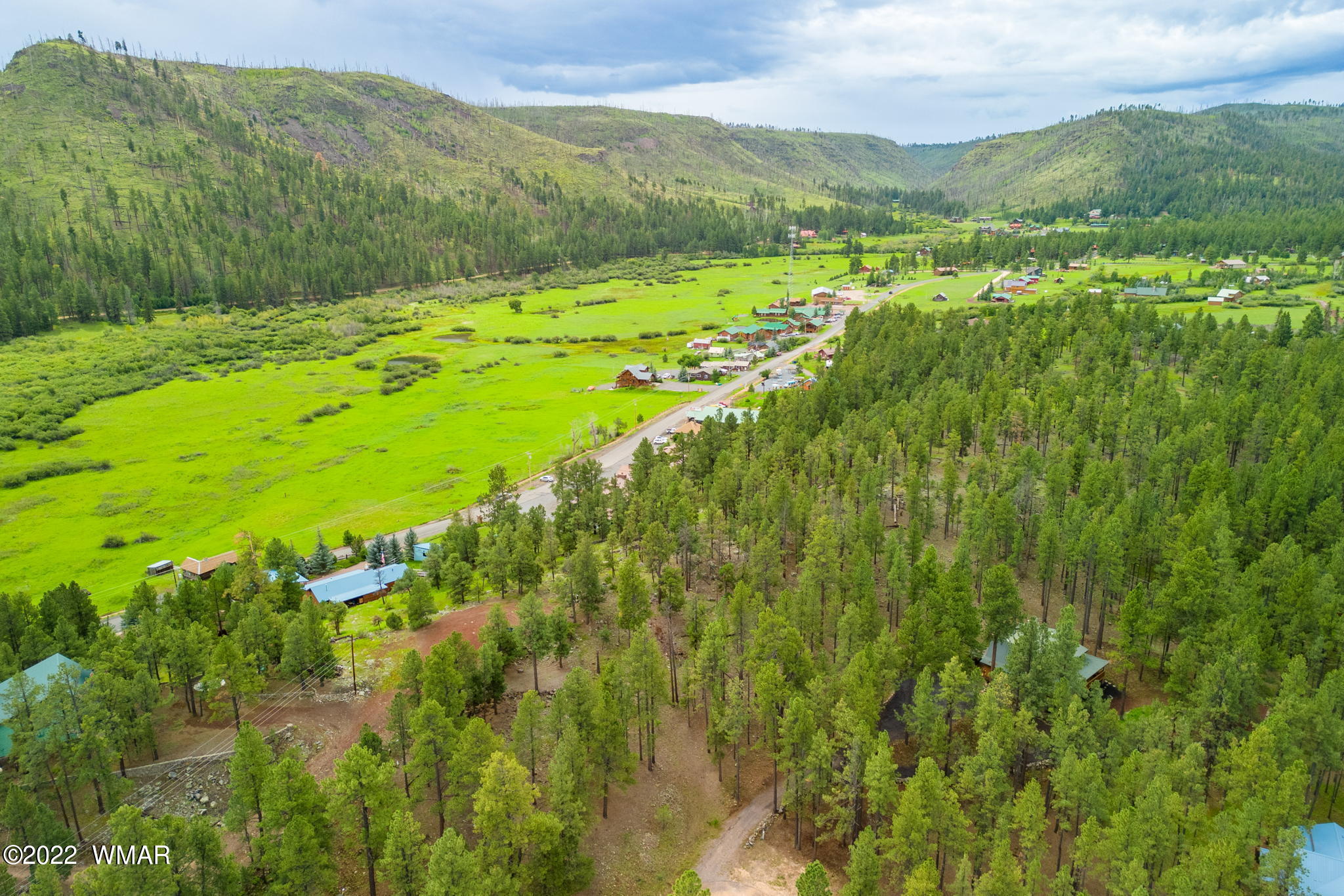 1 1013th Greer, AZ 85927 - Photo 6 of 21 a view of a lush green hillside and houses