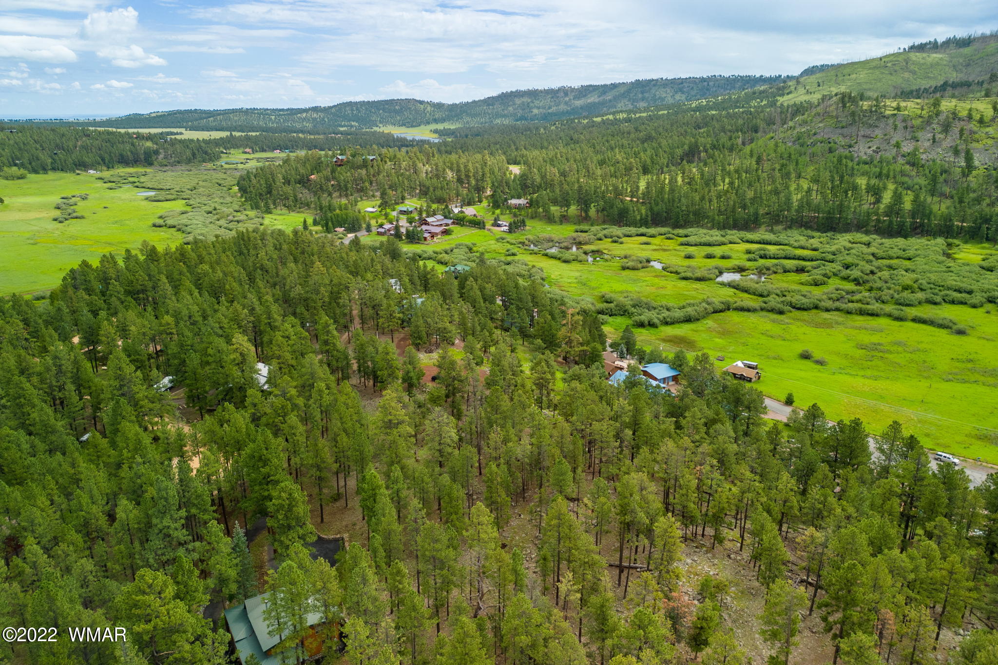 1 1013th Greer, AZ 85927 - Photo 7 of 21 a view of a lush green outdoor space with a lake view
