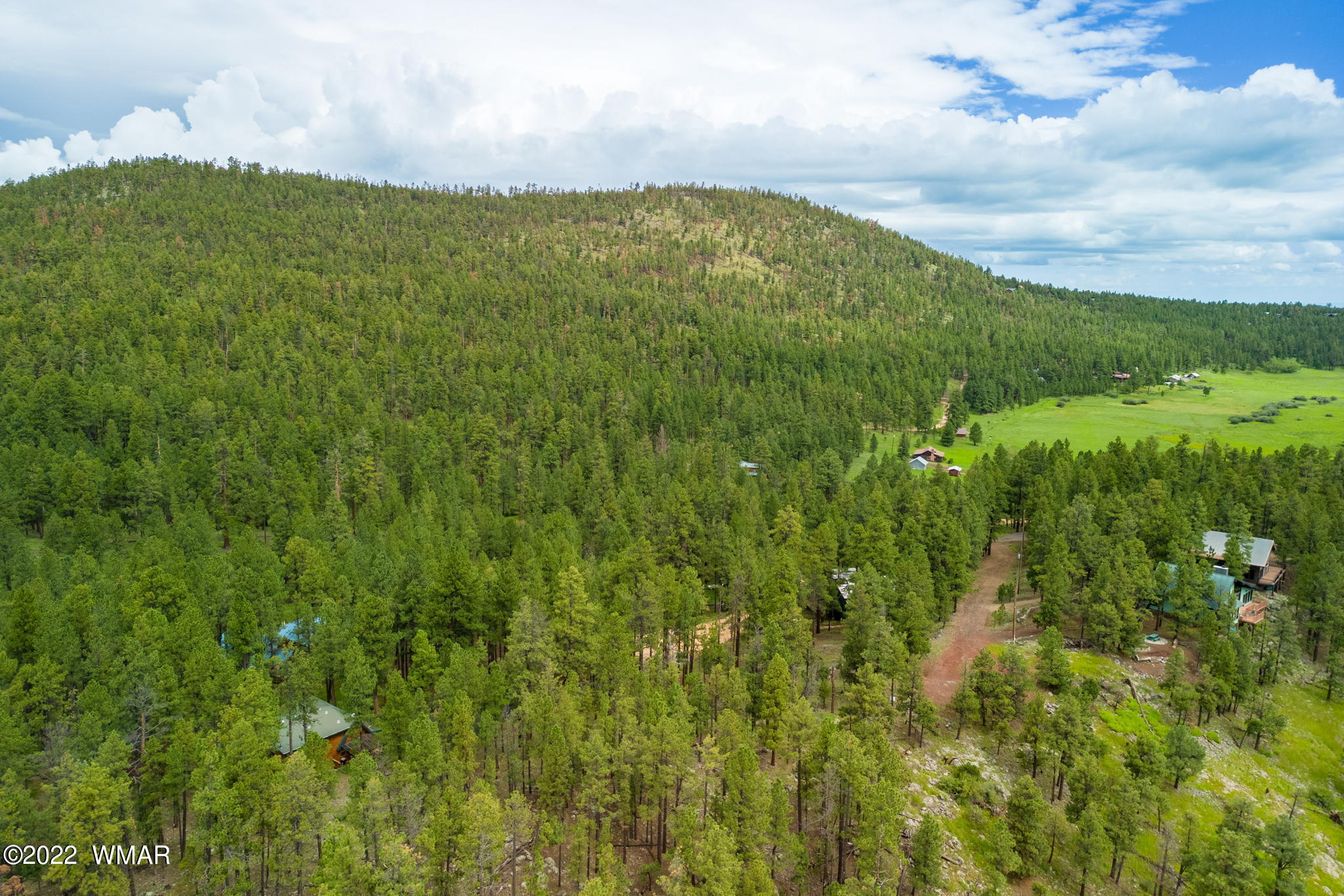 1 1013th Greer, AZ 85927 - Photo 8 of 21