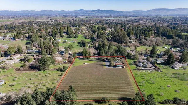a view of a city with lush green forest