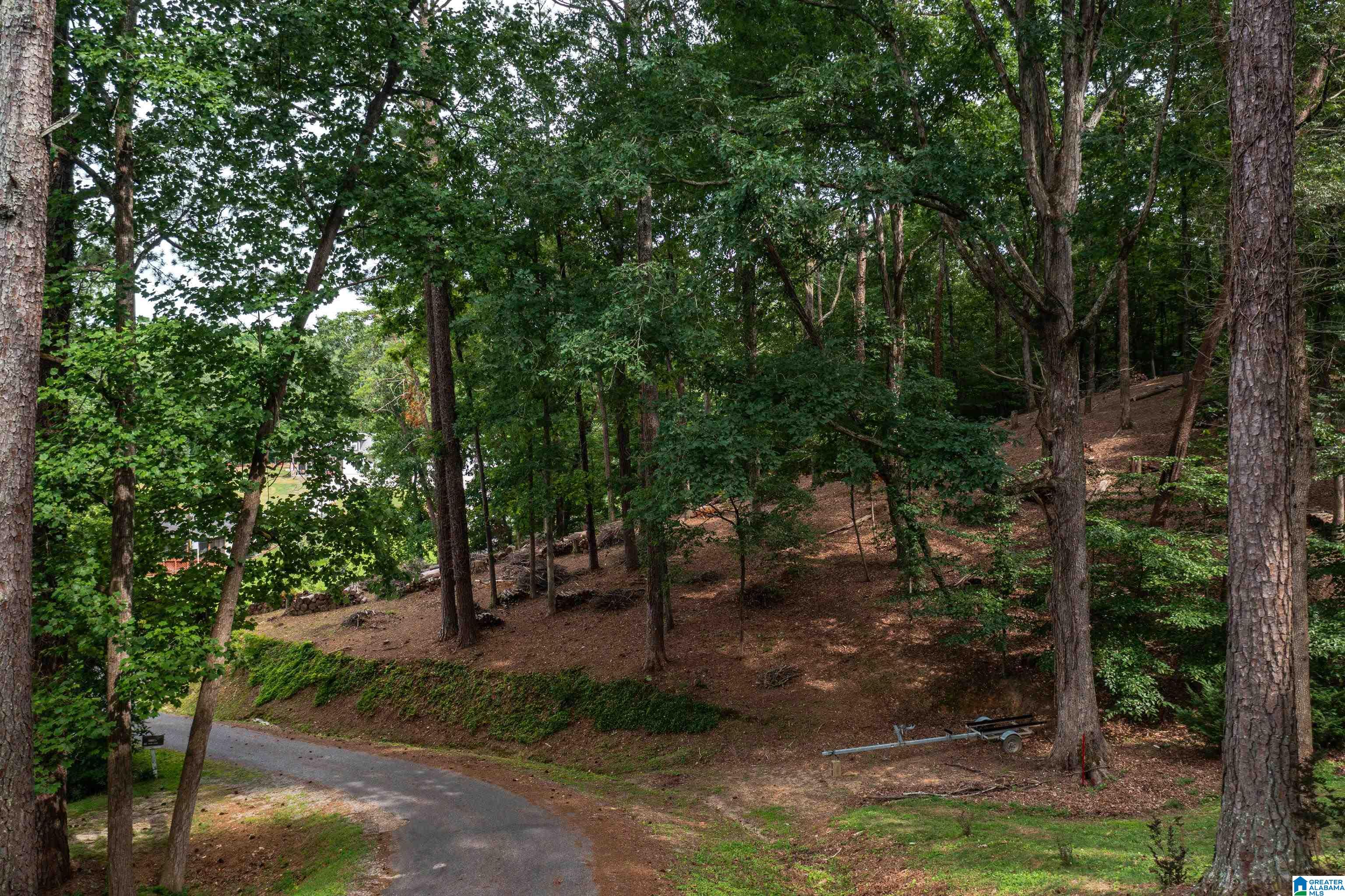 58 East Sunset Boulevard Oneonta, AL 35121 - Photo 13 of 40