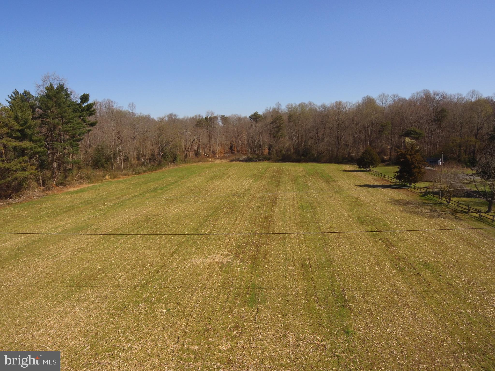 Highway 404 Denton, MD 21629 - Photo 15 of 16 a view of a yard