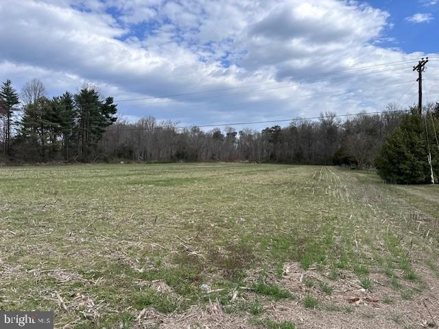 Highway 404 Denton, MD 21629 - Photo 16 of 16 a view of a field with an trees in back