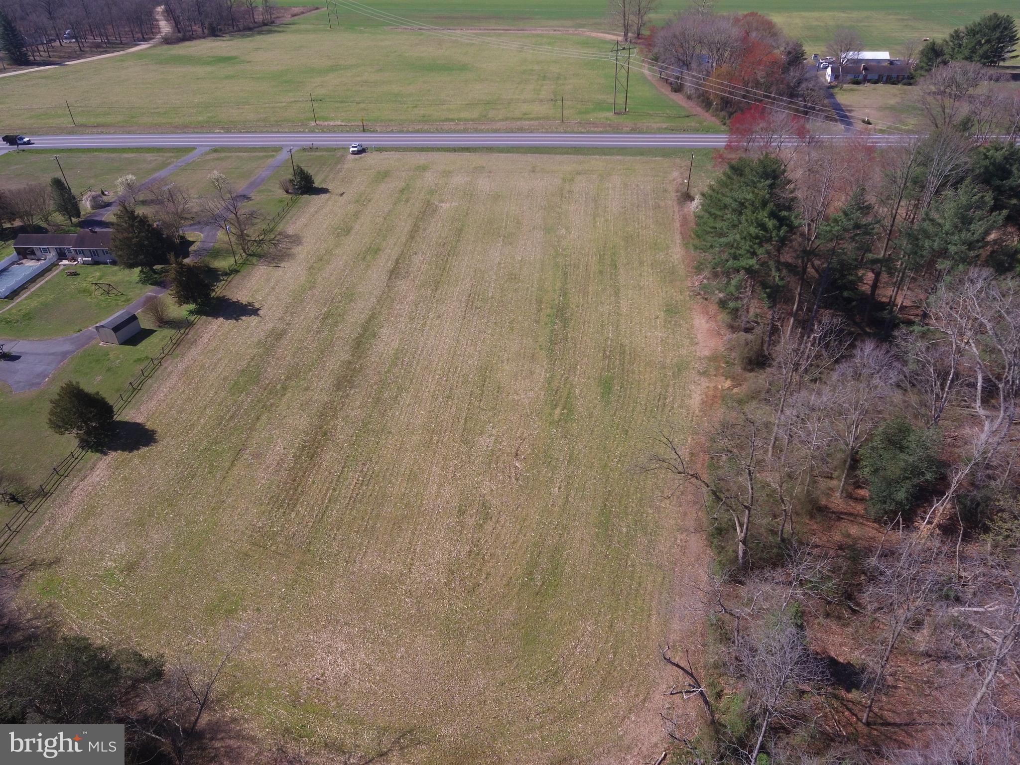 Highway 404 Denton, MD 21629 - Photo 8 of 16 a view of a dry yard