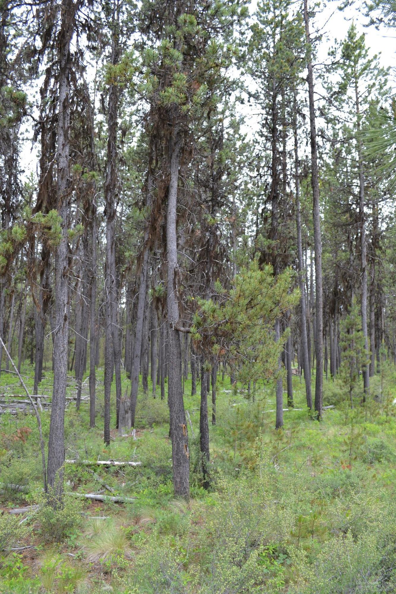 17137 Glendale Road Bend, OR 97707 - Photo 2 of 4 Additional Photo