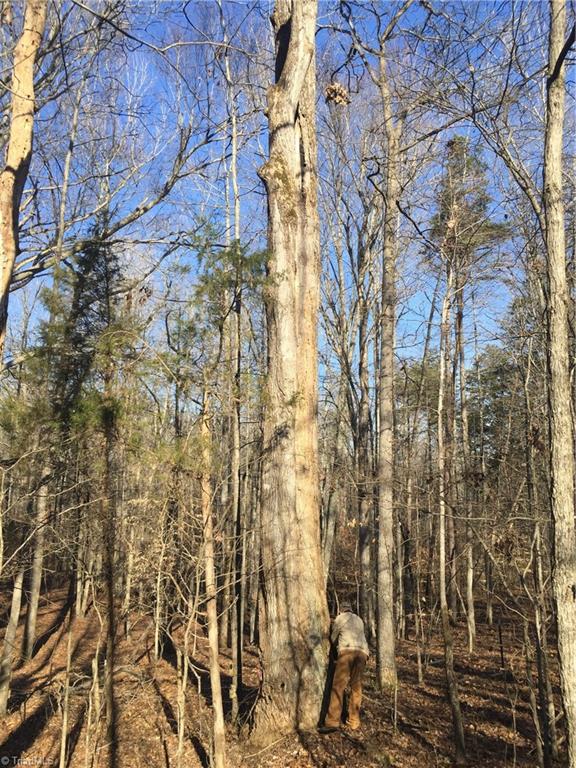 470 Livengood Road Advance, NC 27006 - Photo 15 of 21 Gallery Image 15