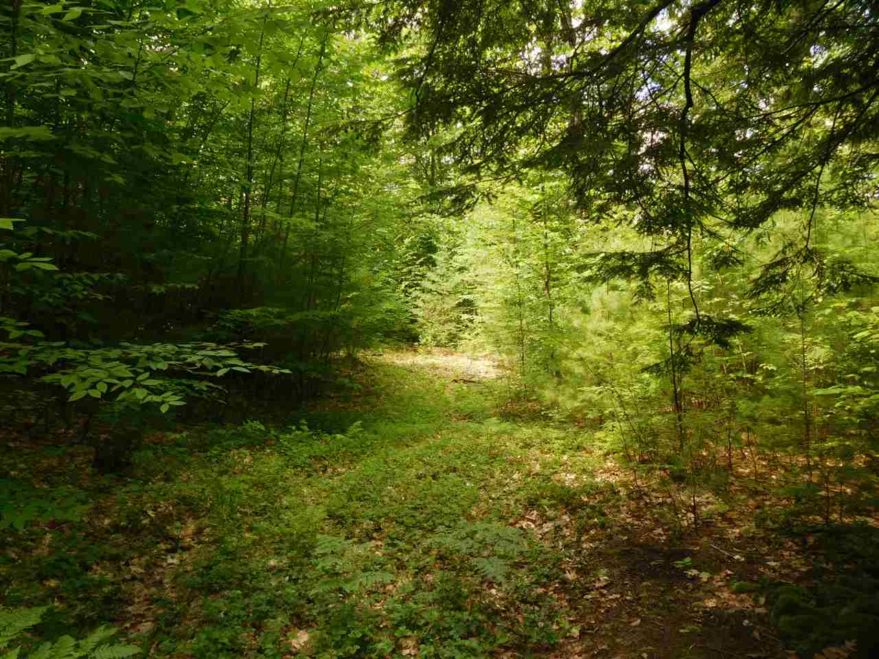 861 Old Turnpike Road Salisbury, NH 03268 - Photo 11 of 36 Gallery Image 11
