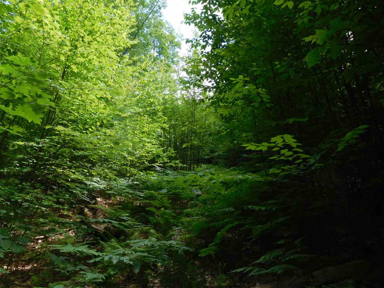 861 Old Turnpike Road Salisbury, NH 03268 - Photo 12 of 36 Gallery Image 12