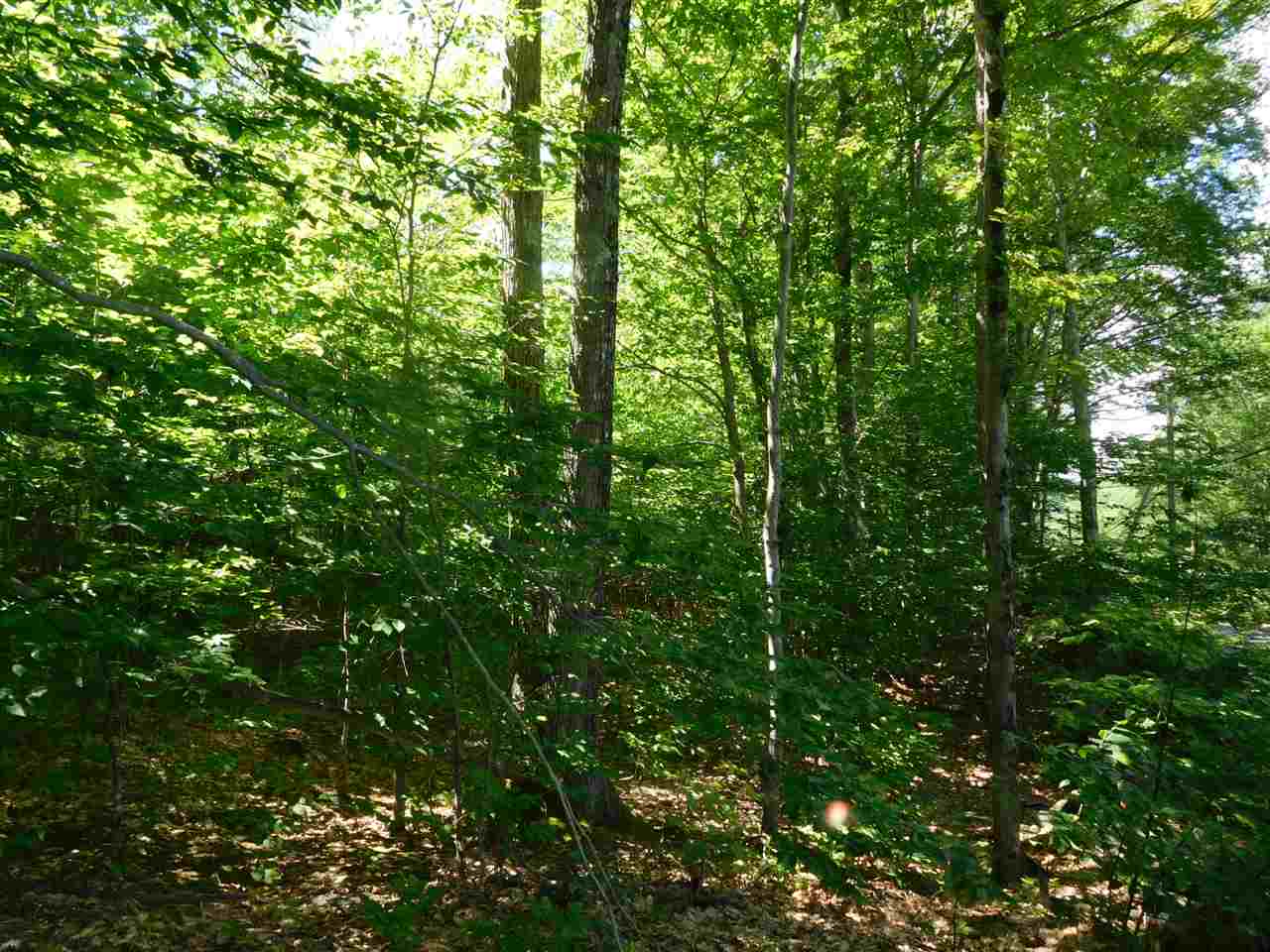 861 Old Turnpike Road Salisbury, NH 03268 - Photo 14 of 36 Gallery Image 14