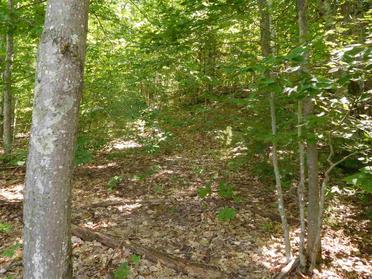 861 Old Turnpike Road Salisbury, NH 03268 - Photo 15 of 36 Gallery Image 15