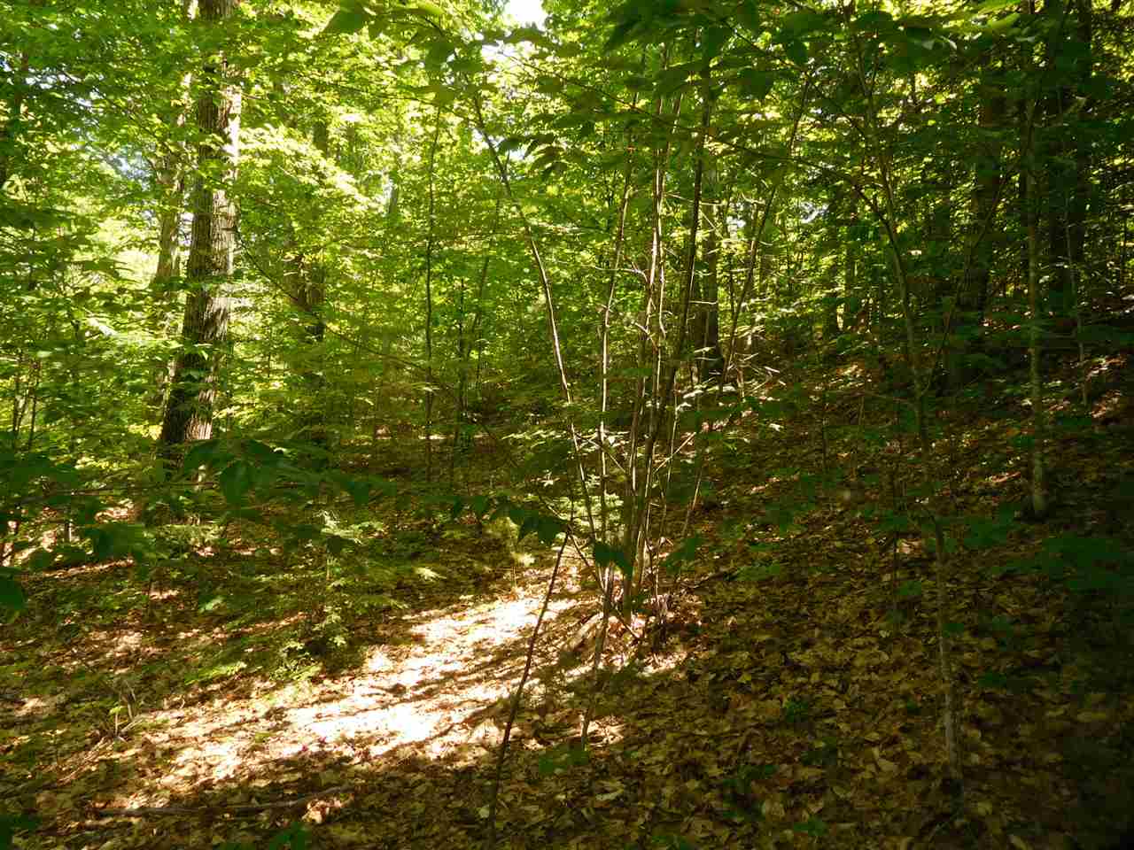 861 Old Turnpike Road Salisbury, NH 03268 - Photo 16 of 36 Gallery Image 16