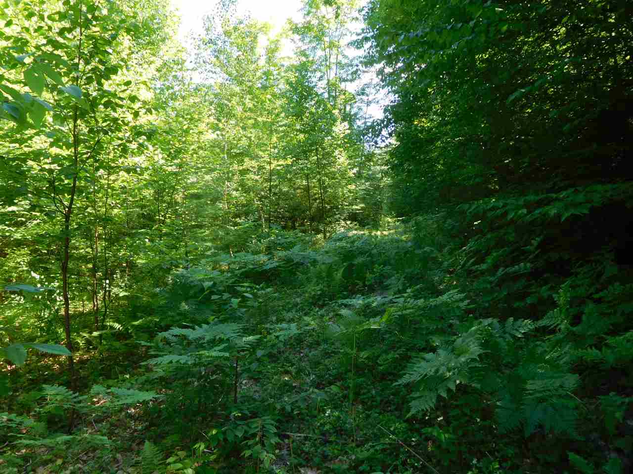861 Old Turnpike Road Salisbury, NH 03268 - Photo 17 of 36 Gallery Image 17
