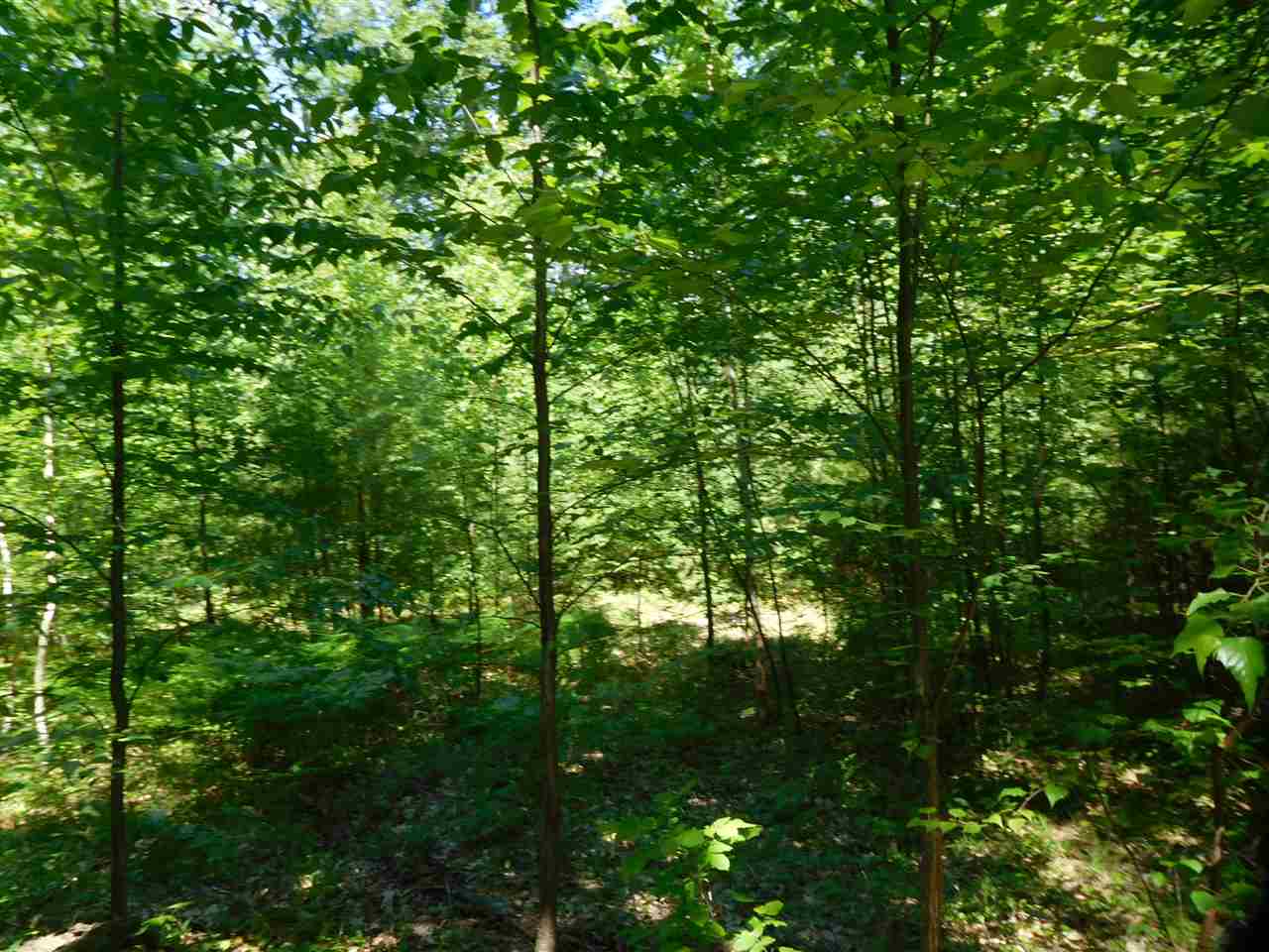 861 Old Turnpike Road Salisbury, NH 03268 - Photo 18 of 36 Gallery Image 18
