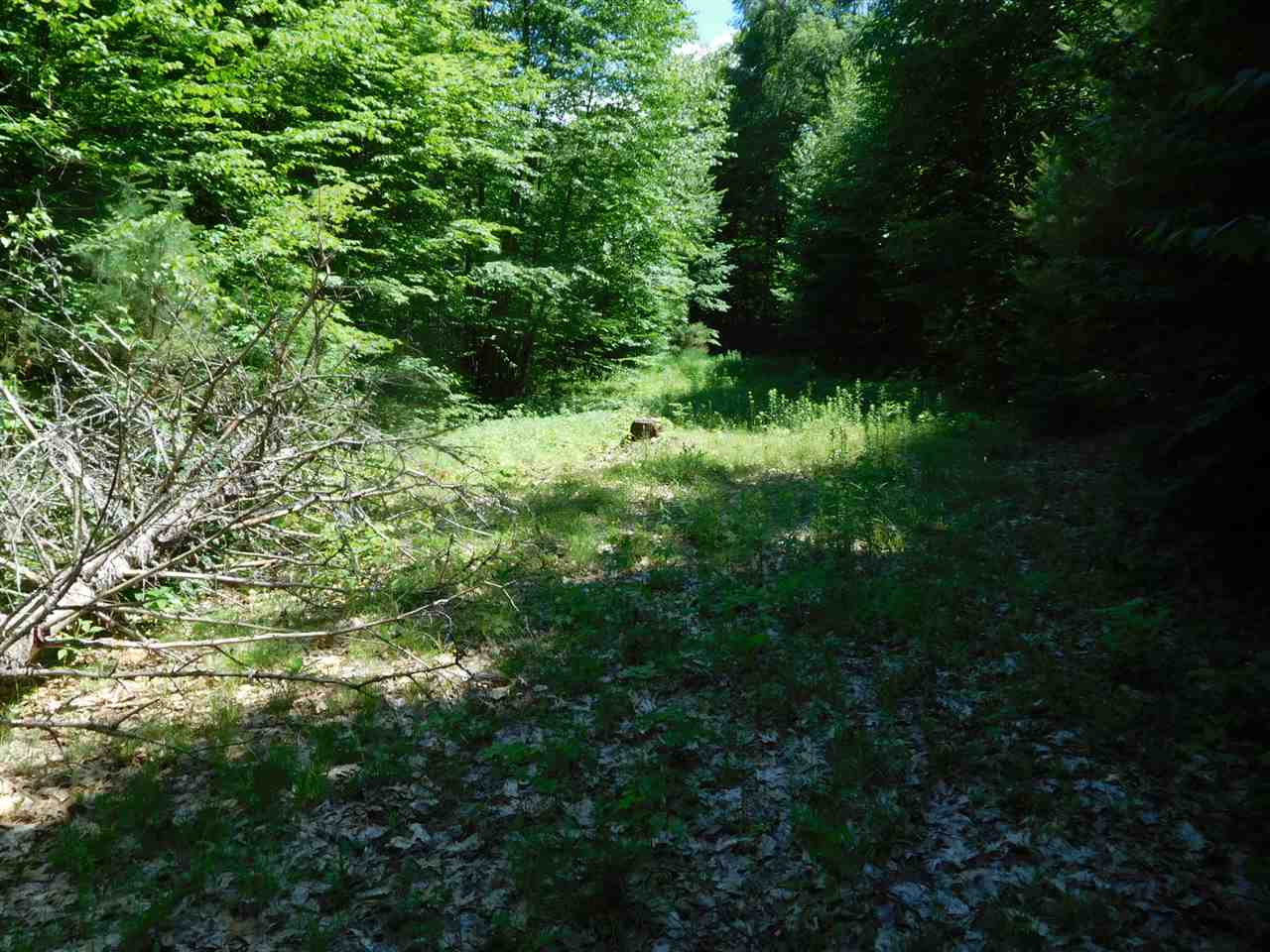 861 Old Turnpike Road Salisbury, NH 03268 - Photo 19 of 36 Gallery Image 19