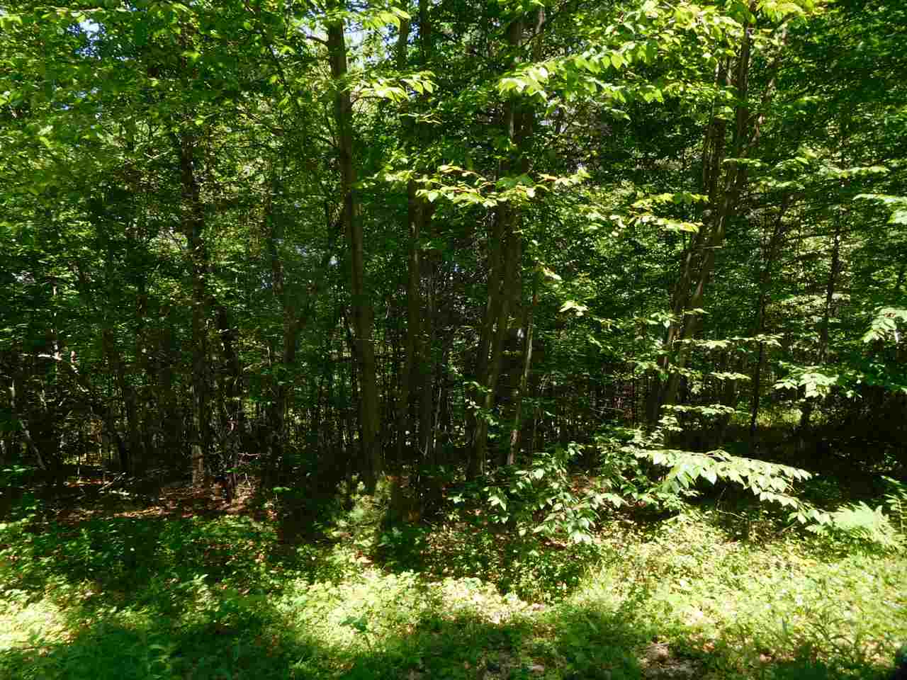 861 Old Turnpike Road Salisbury, NH 03268 - Photo 20 of 36 Gallery Image 20