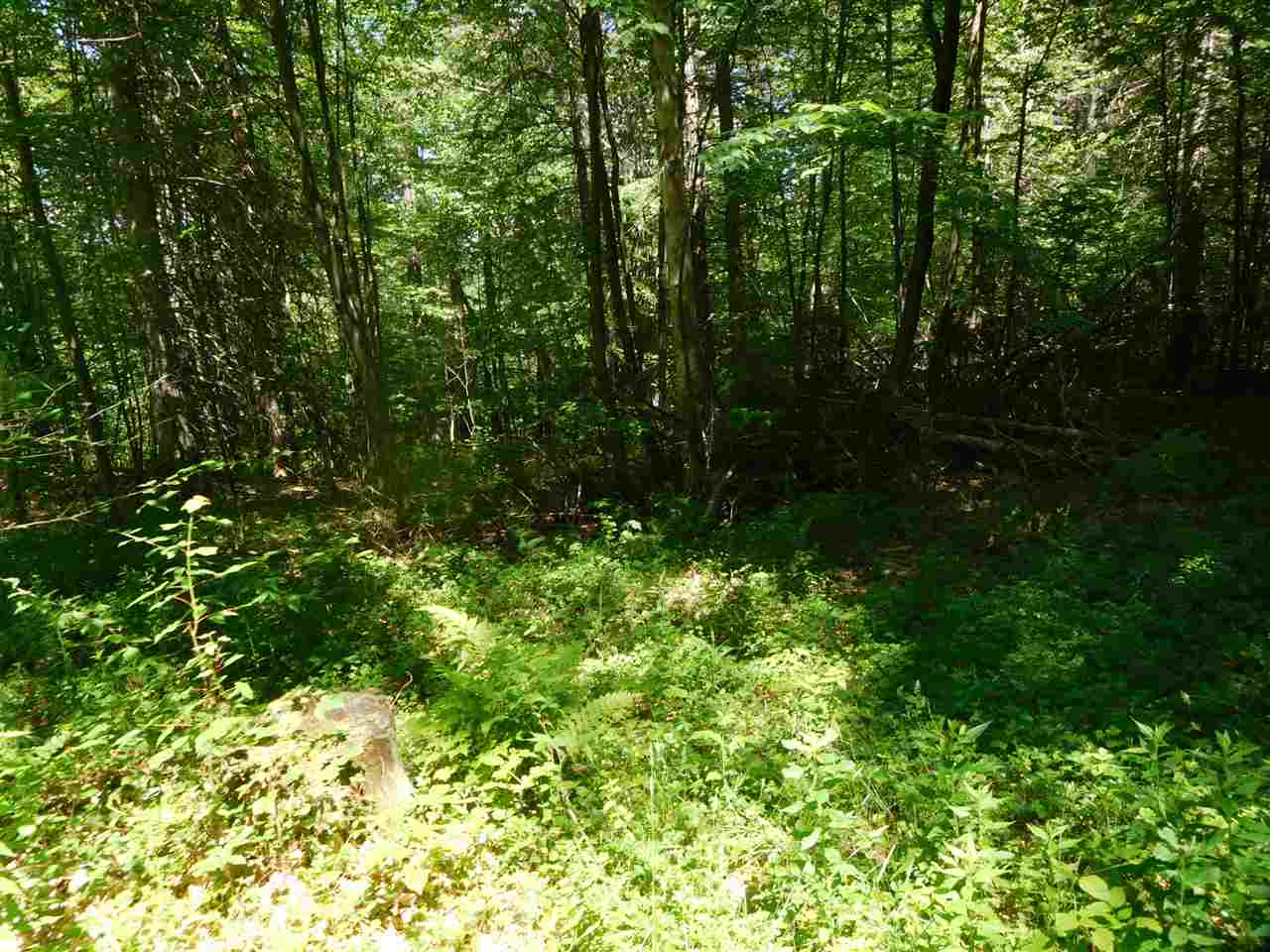 861 Old Turnpike Road Salisbury, NH 03268 - Photo 21 of 36 Gallery Image 21