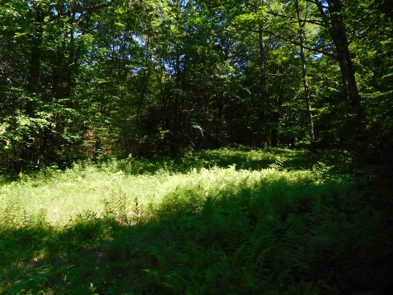 861 Old Turnpike Road Salisbury, NH 03268 - Photo 22 of 36 Gallery Image 22