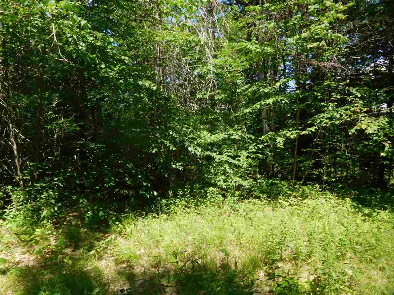 861 Old Turnpike Road Salisbury, NH 03268 - Photo 23 of 36 Gallery Image 23