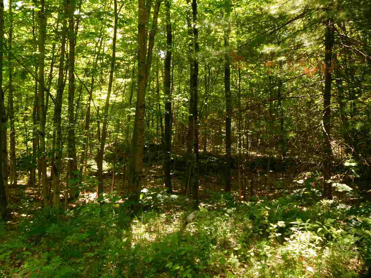 861 Old Turnpike Road Salisbury, NH 03268 - Photo 28 of 36 Gallery Image 28