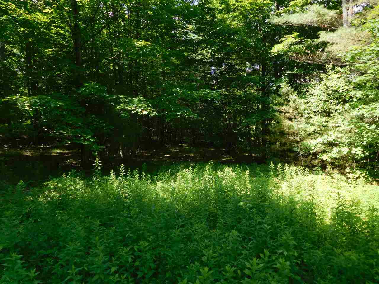 861 Old Turnpike Road Salisbury, NH 03268 - Photo 34 of 36 Gallery Image 34