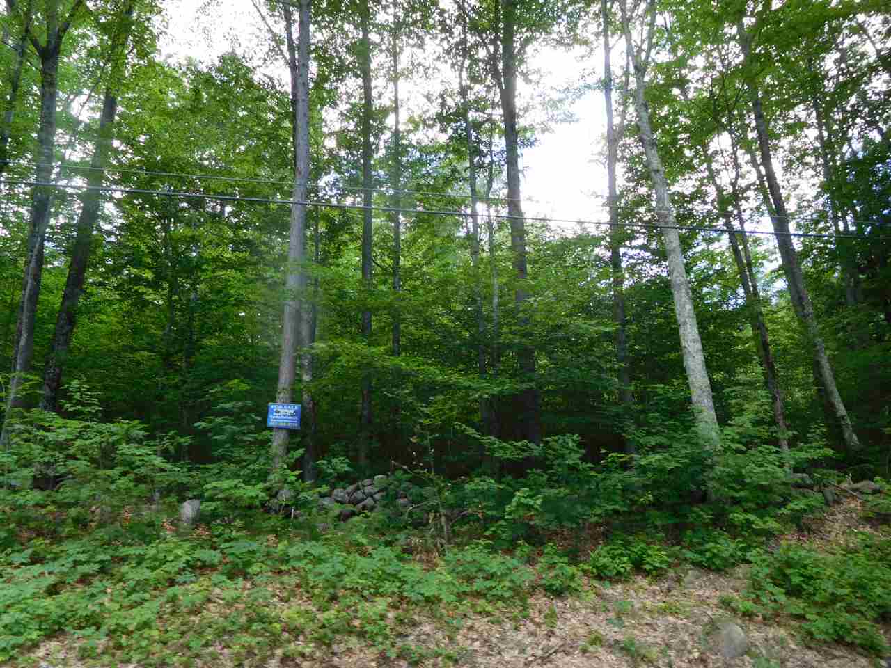 861 Old Turnpike Road Salisbury, NH 03268 - Photo 8 of 36 Gallery Image 8