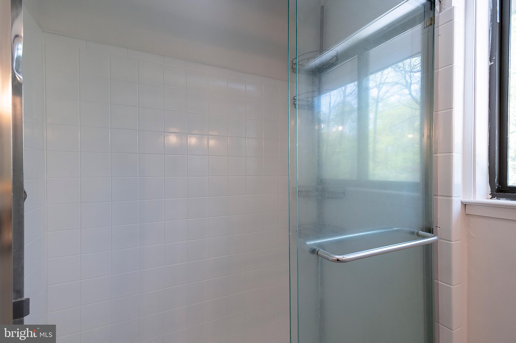 4541 Dustin Road Burtonsville, MD 20866 - Photo 22 of 34 Master Bathroom Shower