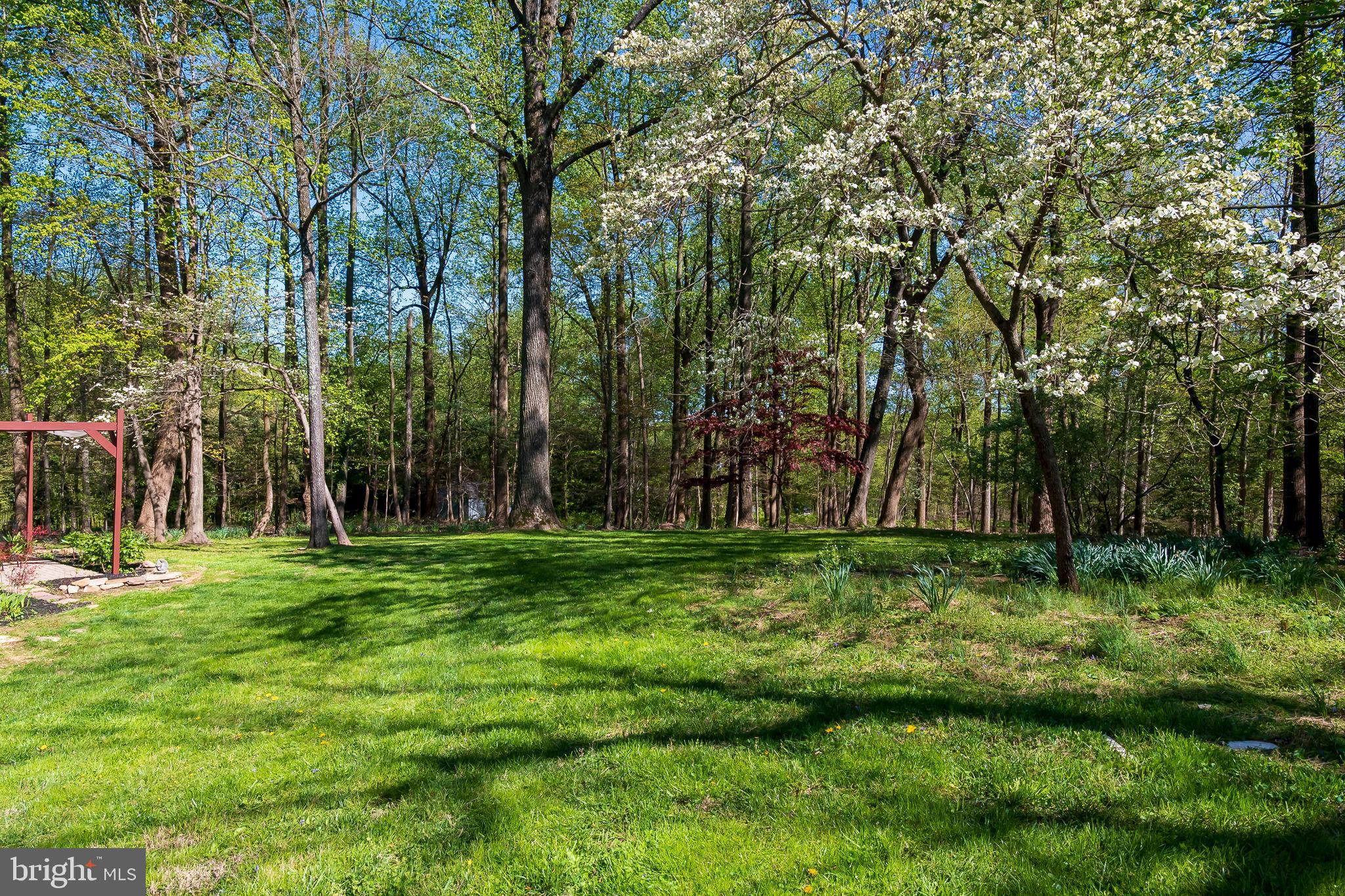 4541 Dustin Road Burtonsville, MD 20866 - Photo 30 of 34 Back Yard