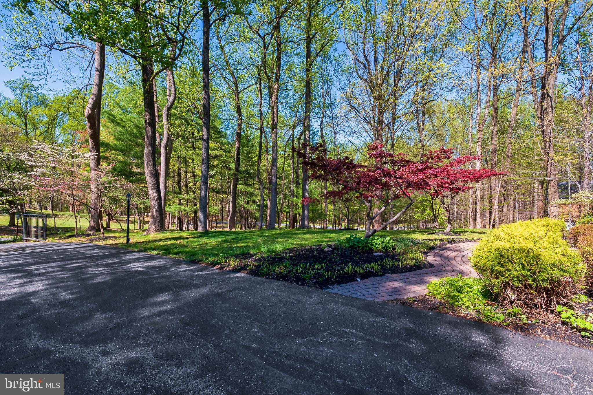 4541 Dustin Road Burtonsville, MD 20866 - Photo 3 of 34 Front Yard