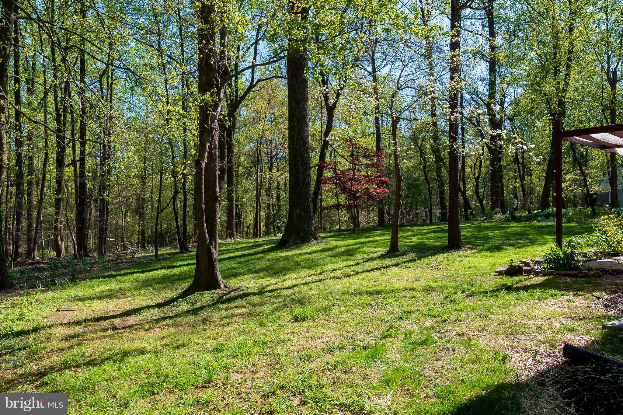 4541 Dustin Road Burtonsville, MD 20866 - Photo 31 of 34 Back Yard (alt view)