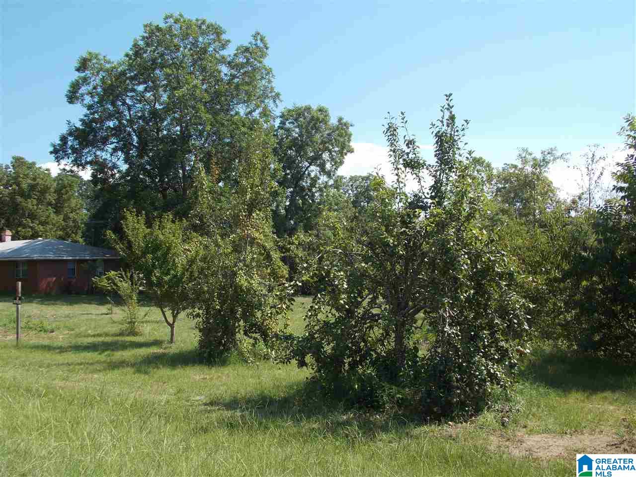 839 County Road 135 Jemison, AL 35085 - Photo 2 of 2