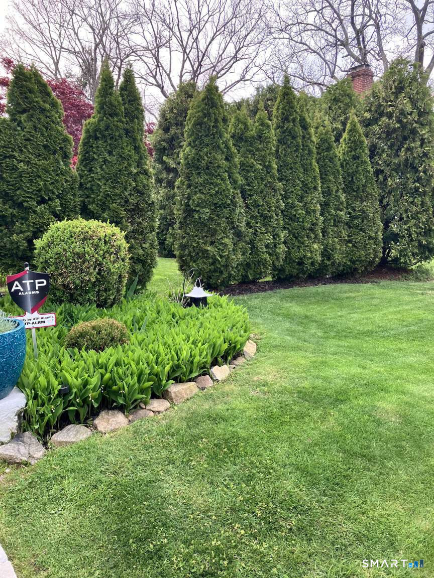294 Church Street Guilford, CT 06437 - Photo 6 of 32 a view of a garden with a tree