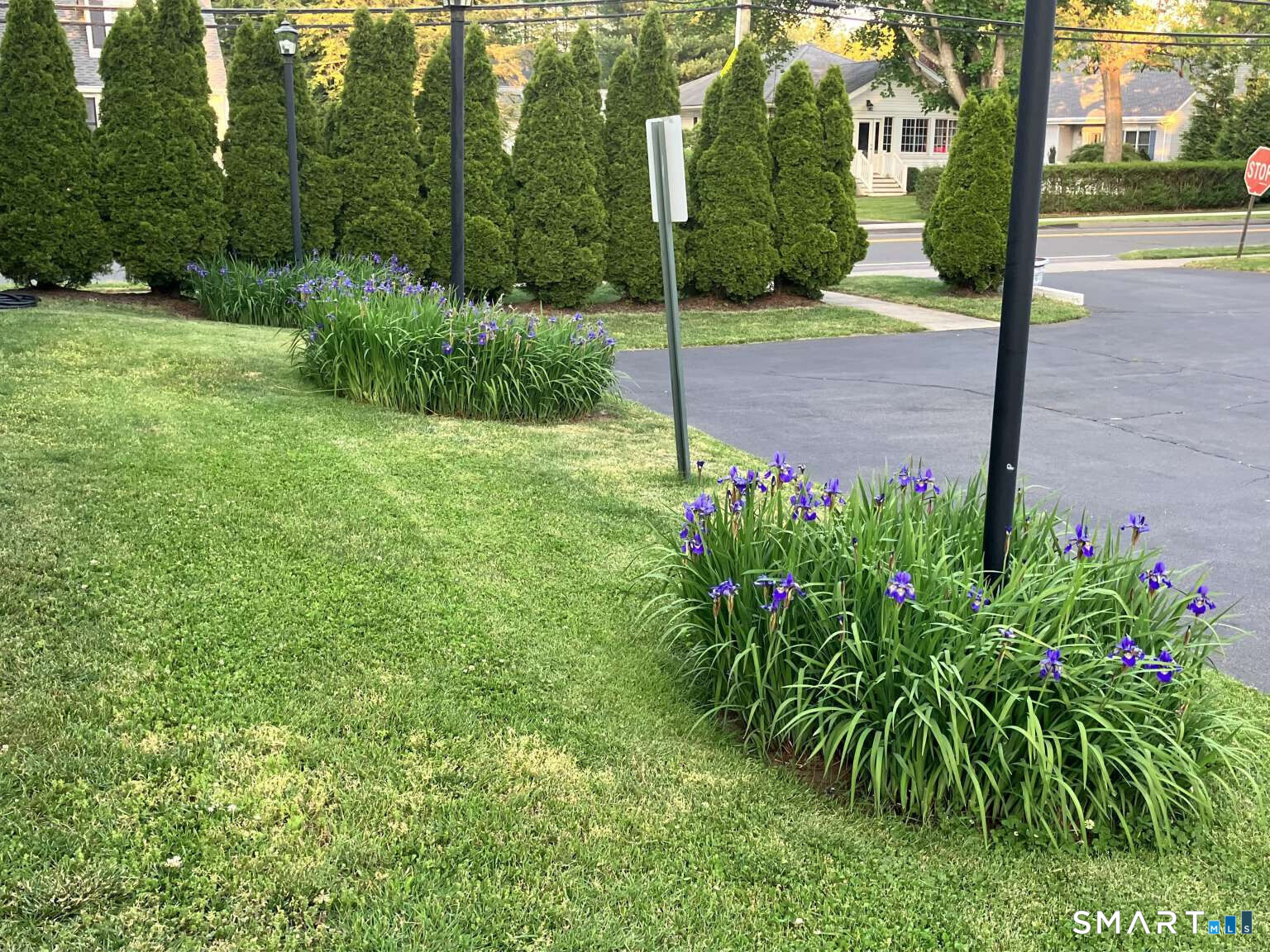 294 Church Street Guilford, CT 06437 - Photo 10 of 32 a view of a garden with a fountain