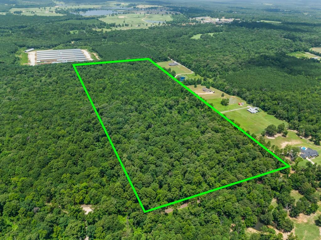 Tbd Nutmeg Road Big Sandy, TX 75755 - Photo 1 of 1 Aerial view of property's location featuring property parcel outlined
