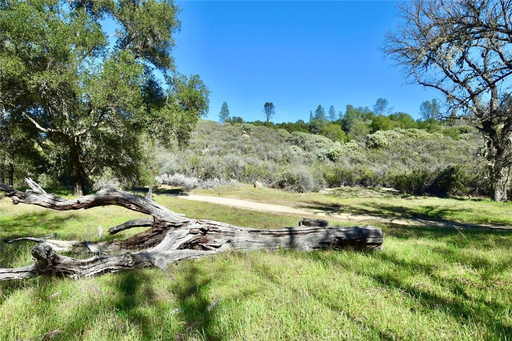 76450 Deer Pass Road Bradley, CA 93426 - Photo 42 of 50