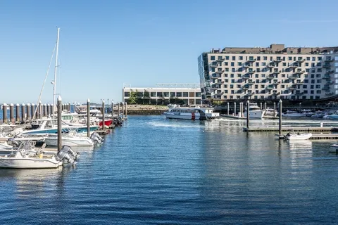 a view of ocean with boats and trees in the background