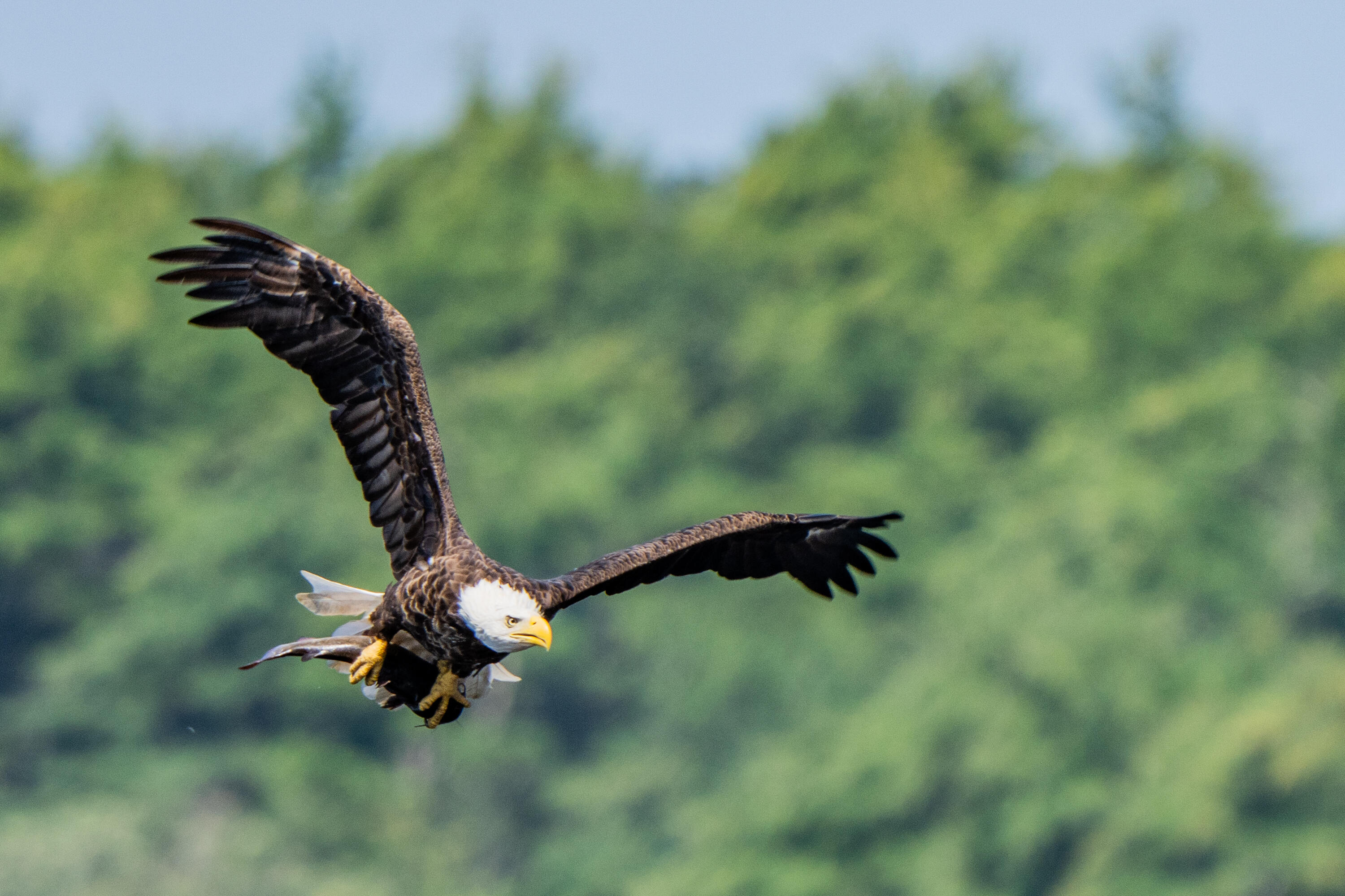 46 Rivers Edge Drive Woolwich, ME 04579 - Photo 175 of 234 46 River Edge Drive Woolwich 164