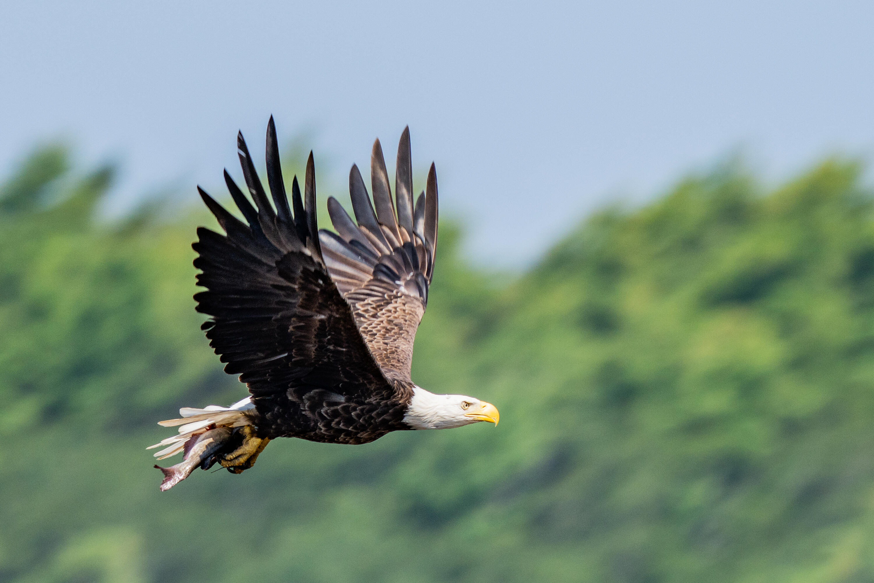 46 Rivers Edge Drive Woolwich, ME 04579 - Photo 176 of 234 46 River Edge Drive Woolwich 165