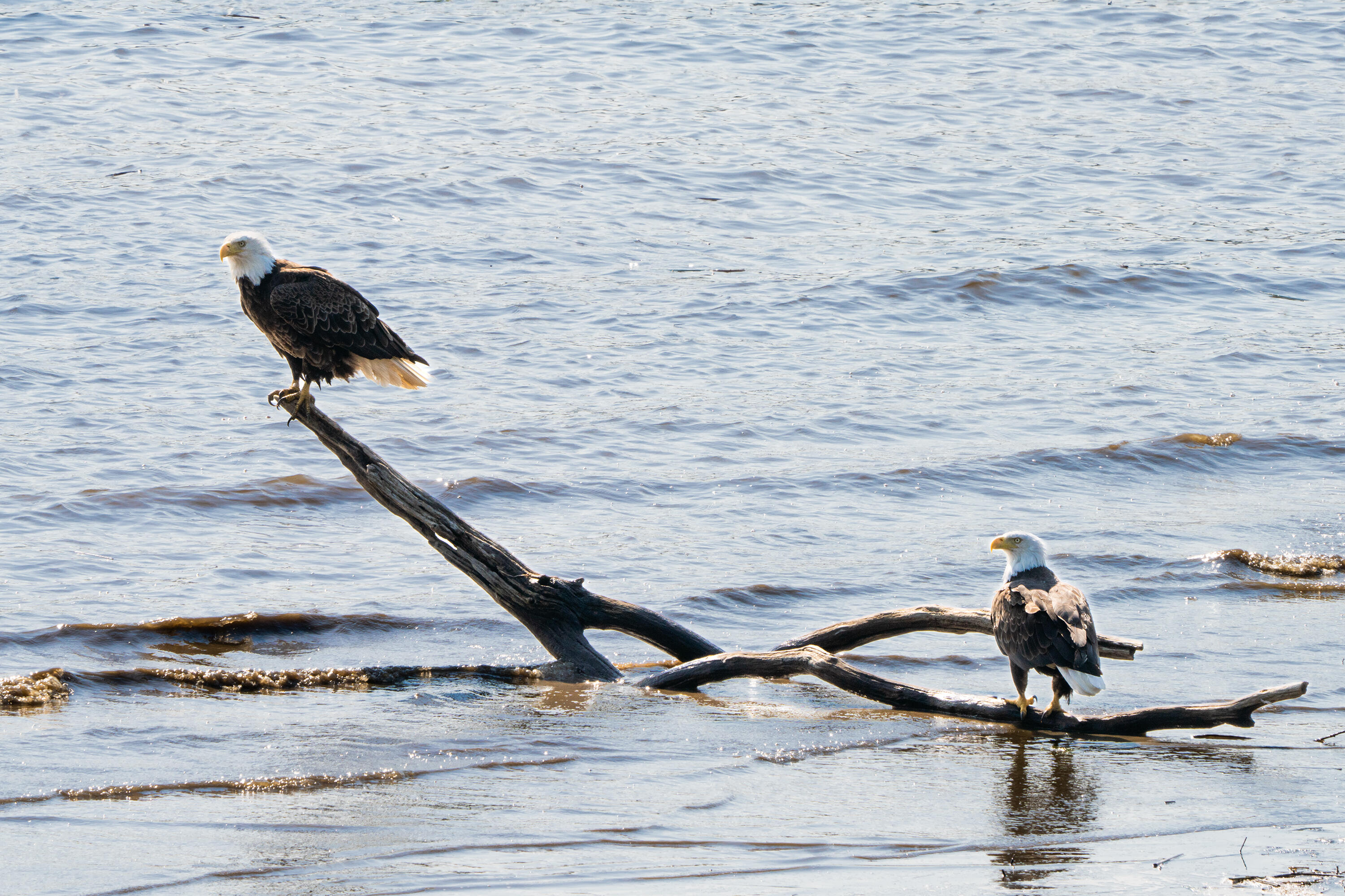 46 Rivers Edge Drive Woolwich, ME 04579 - Photo 178 of 234 46 River Edge Drive Woolwich 168