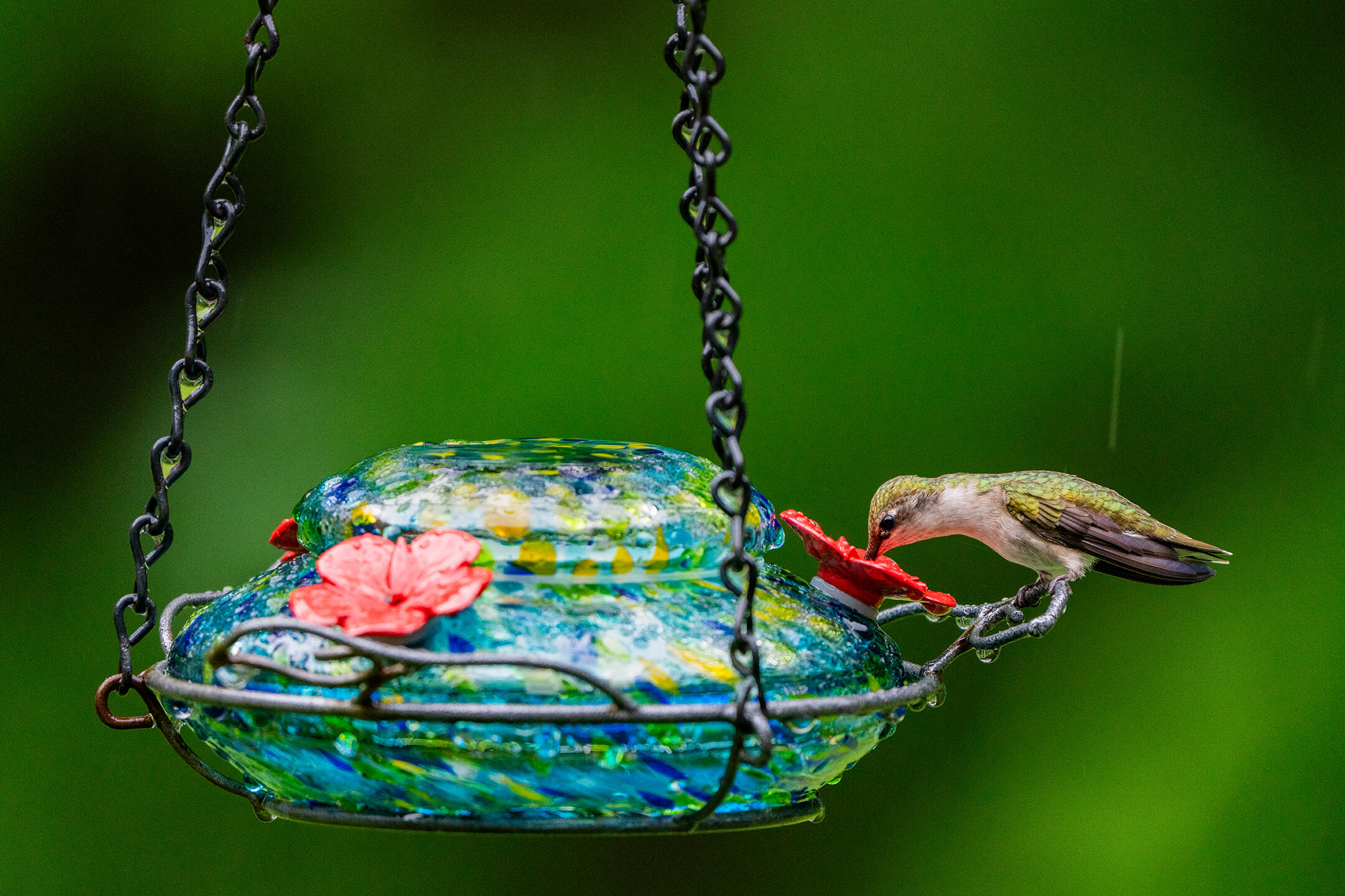 46 Rivers Edge Drive Woolwich, ME 04579 - Photo 181 of 234 46 River Edge Drive Woolwich 174