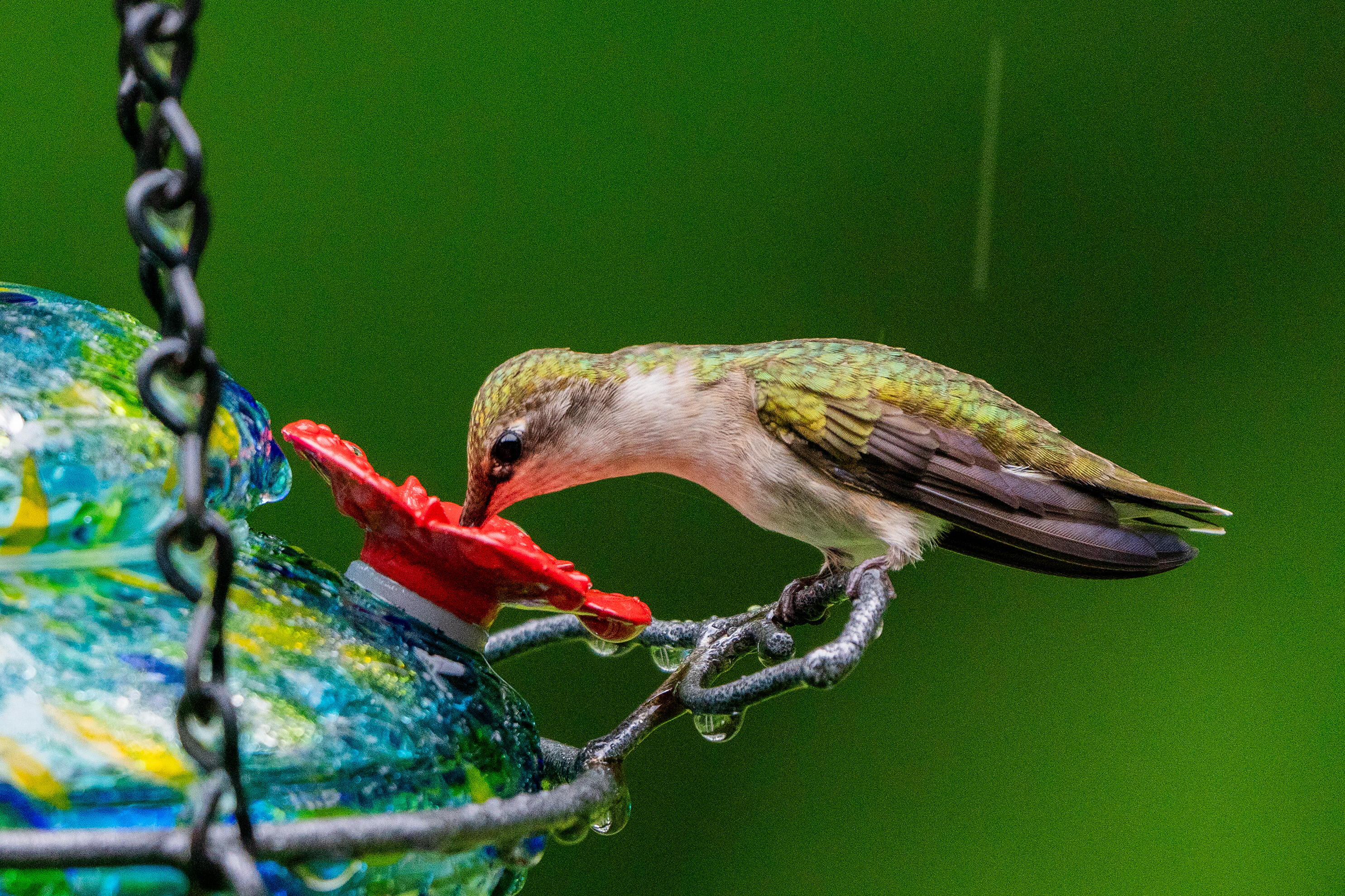46 Rivers Edge Drive Woolwich, ME 04579 - Photo 182 of 234 46 River Edge Drive Woolwich 175