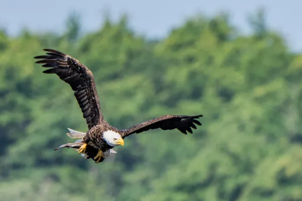 $1,650,000 | 46 Rivers Edge Drive, Woolwich, ME 04579