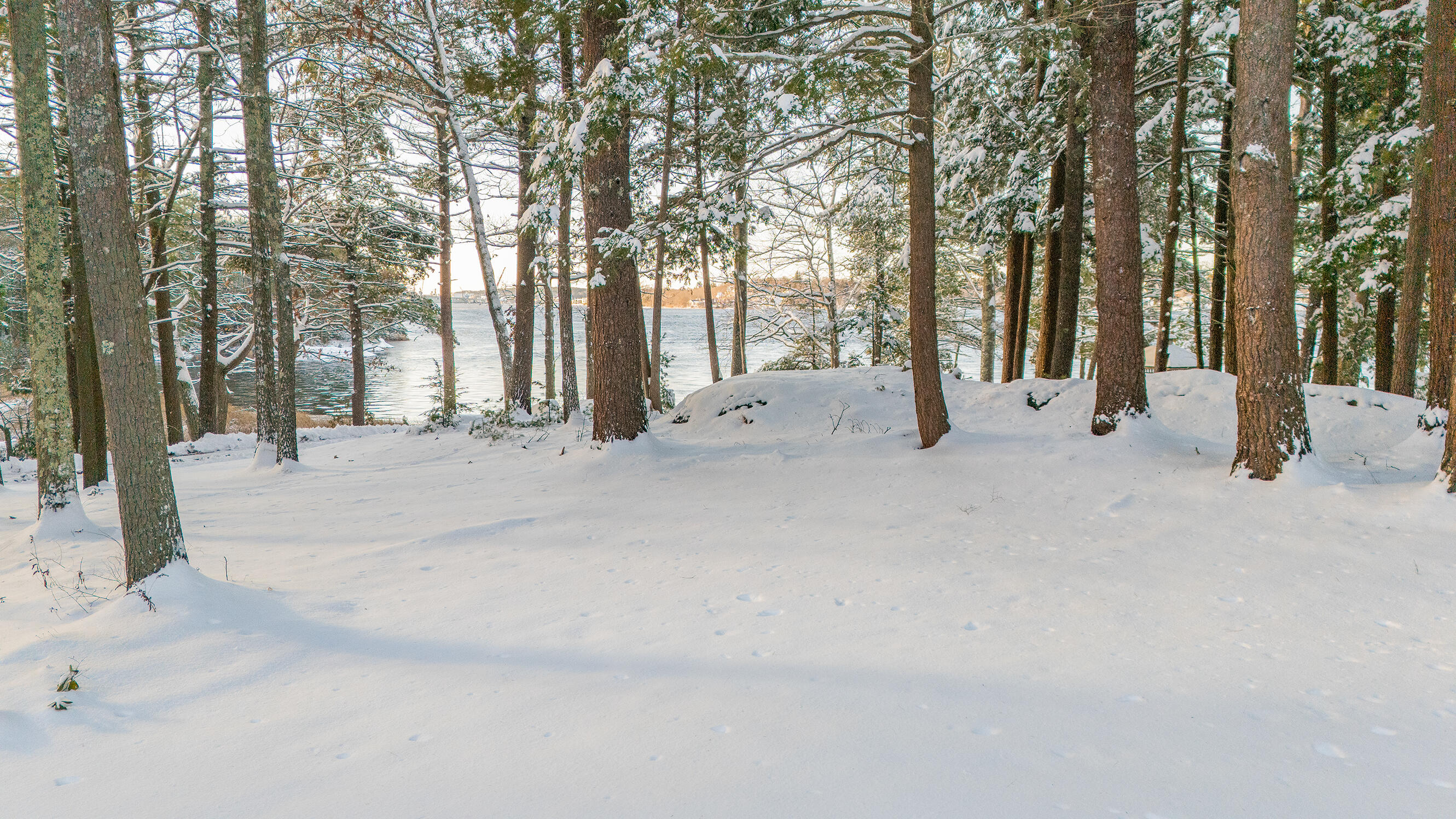 46 Rivers Edge Drive Woolwich, ME 04579 - Photo 206 of 284 46 River Edge Drive Woolwich 188