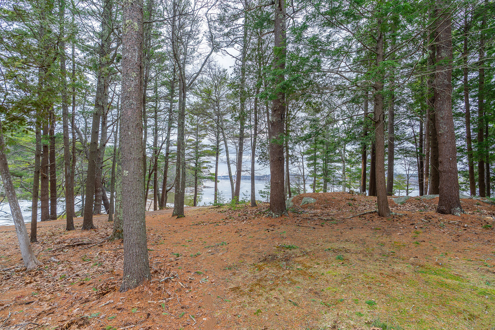 46 Rivers Edge Drive Woolwich, ME 04579 - Photo 216 of 234 46 River Edge Drive Woolwich 211