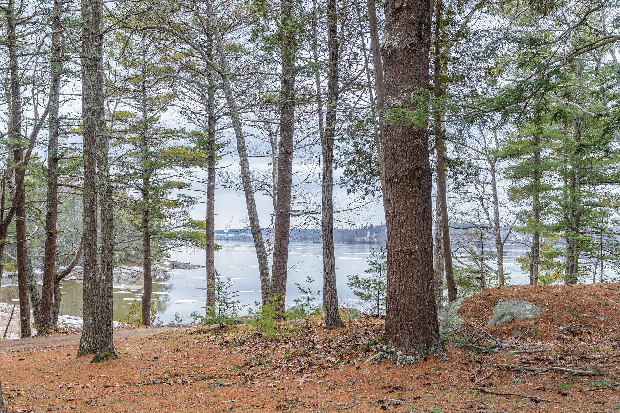 46 Rivers Edge Drive Woolwich, ME 04579 - Photo 217 of 234 46 River Edge Drive Woolwich 212