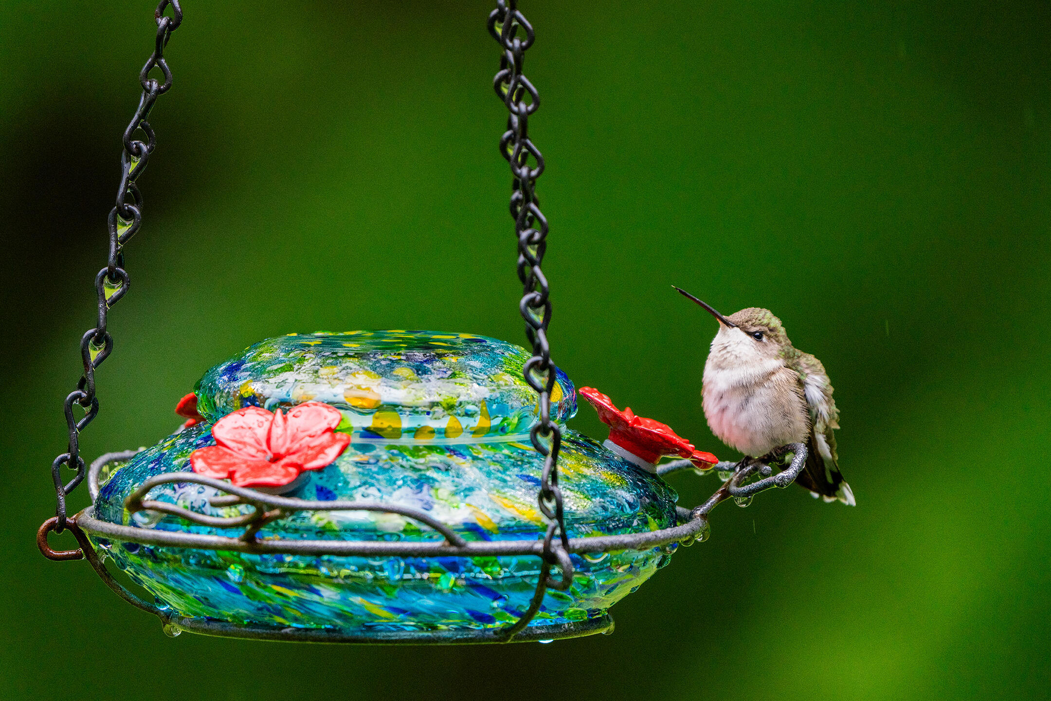 46 Rivers Edge Drive Woolwich, ME 04579 - Photo 55 of 234 46 River Edge Drive Woolwich 172