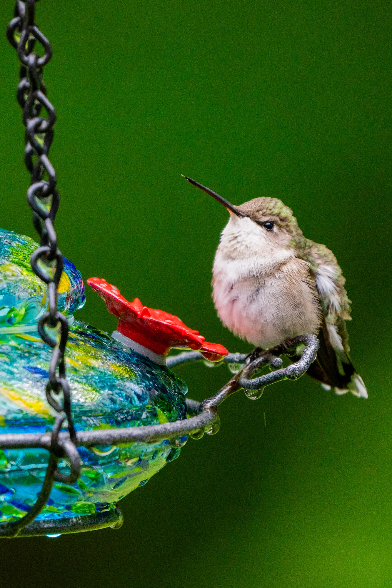 46 Rivers Edge Drive Woolwich, ME 04579 - Photo 56 of 234 46 River Edge Drive Woolwich 173