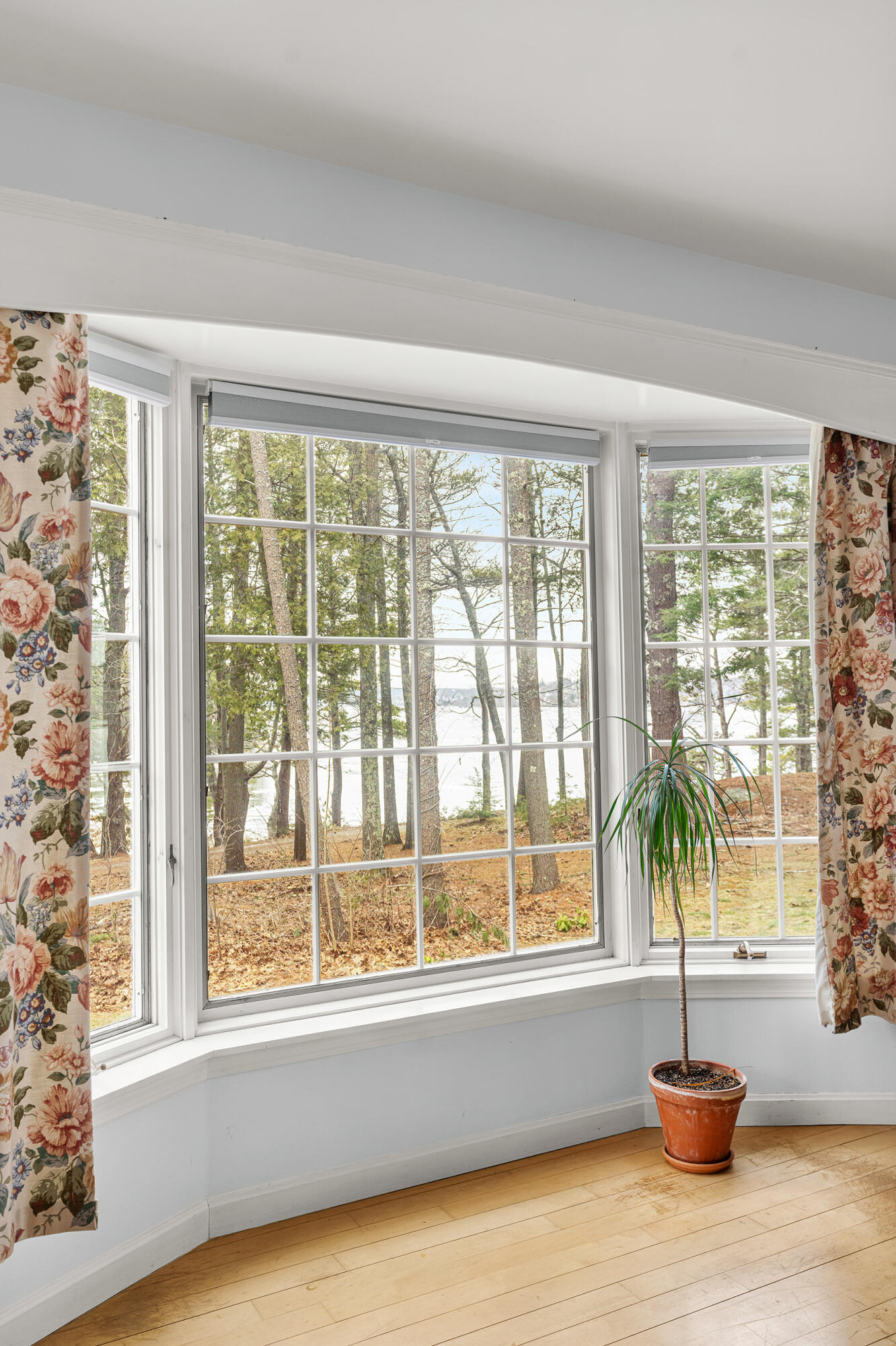 46 Rivers Edge Drive Woolwich, ME 04579 - Photo 100 of 284 46 River Edge Drive Woolwich 047
