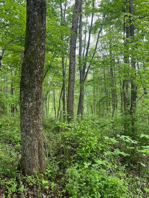 0 Revenge Road Southwest Lancaster, OH 43130 - Photo 2 of 10 IMG_5392